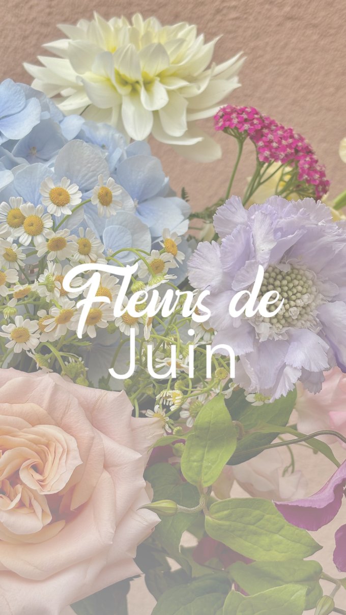 Fleurs de juin